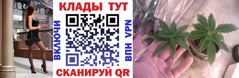 Виды наркоты Железногорск Cocaine  APVP  Марихуана  ГАШ 