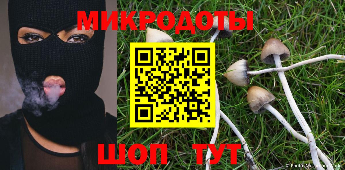 Псилоцибиновые грибы GOLDEN TEACHER Железногорск