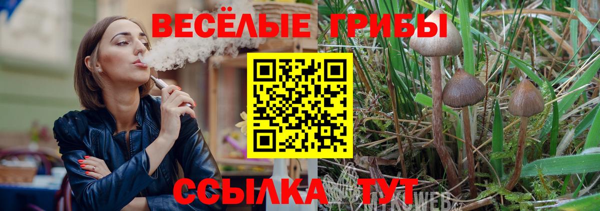 МЕТАМФЕТАМИН Железногорск