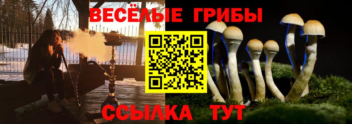 Псилоцибиновые грибы Psilocybine cubensis  Вход с VPN  Железногорск 